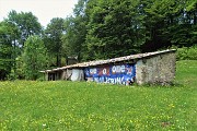 38 Ricovero per animali con pubblicita !